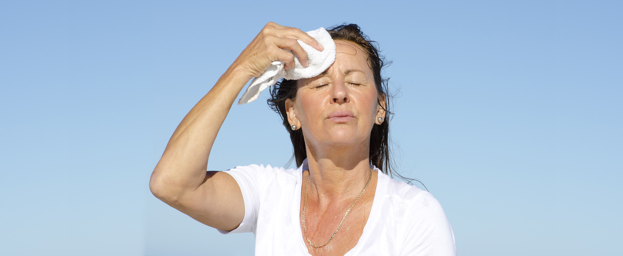 shutterstock_121466269-min (2000x821)